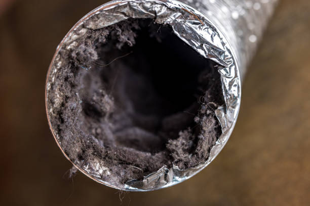 Best Air Duct Cleaning Near Me  in New Orleans Station, LA